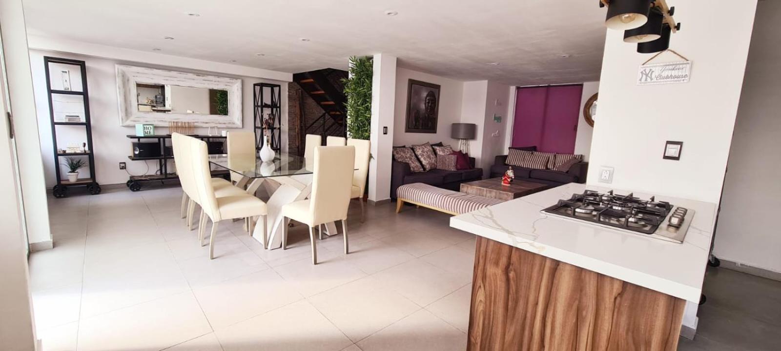 Calida Casa Pet Friendly, Cdmx Apartment Мексико Сити Екстериор снимка
