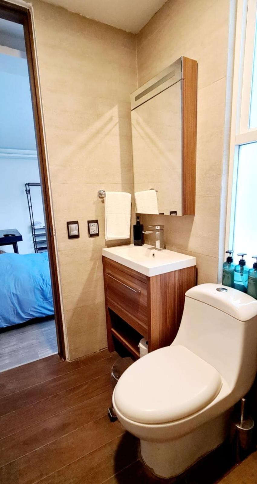Calida Casa Pet Friendly, Cdmx Apartment Мексико Сити Екстериор снимка