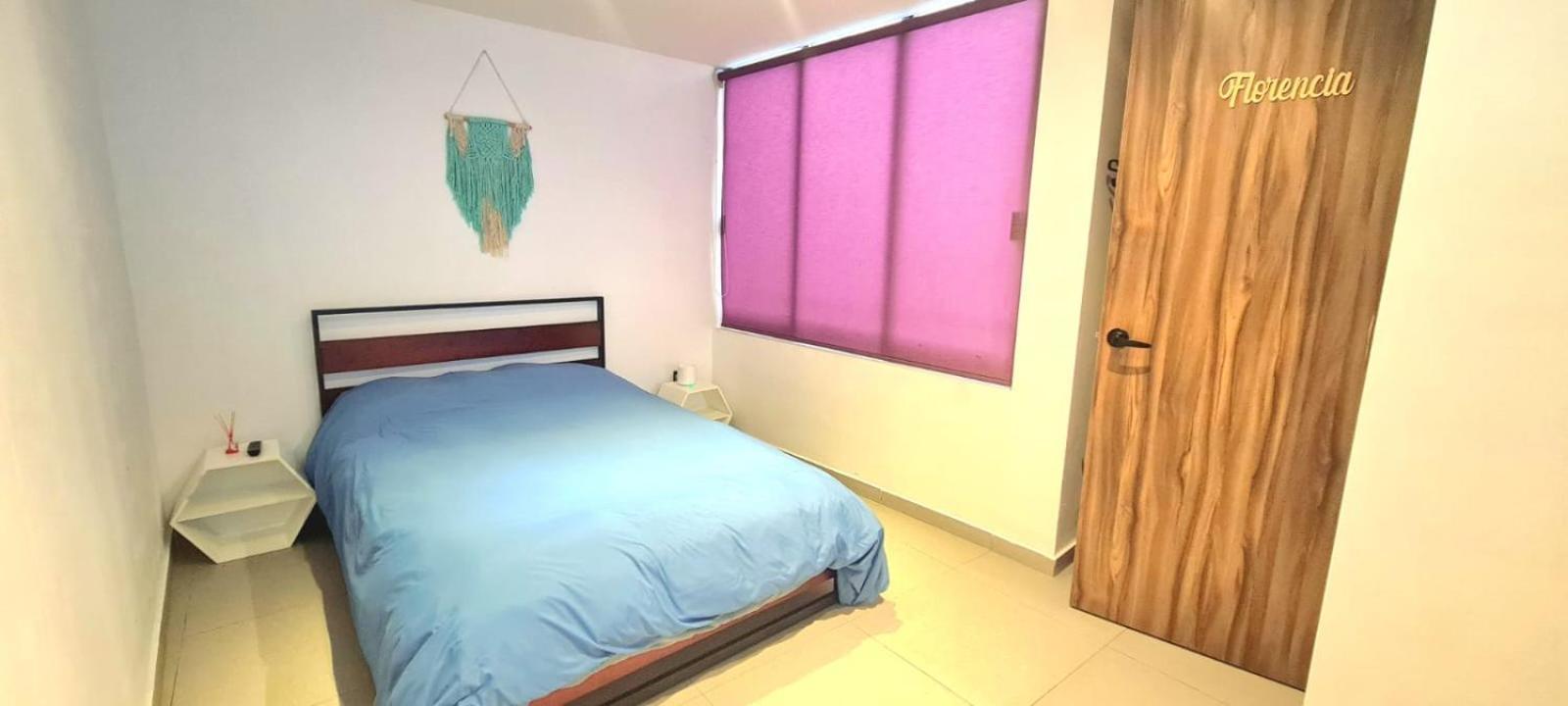 Calida Casa Pet Friendly, Cdmx Apartment Мексико Сити Екстериор снимка