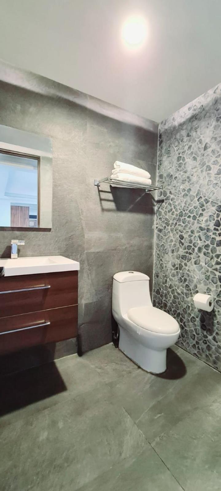 Calida Casa Pet Friendly, Cdmx Apartment Мексико Сити Екстериор снимка