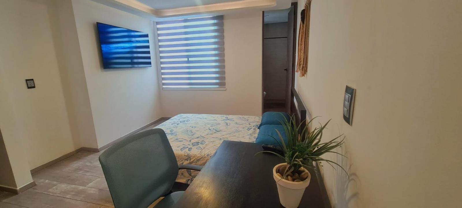 Calida Casa Pet Friendly, Cdmx Apartment Мексико Сити Екстериор снимка