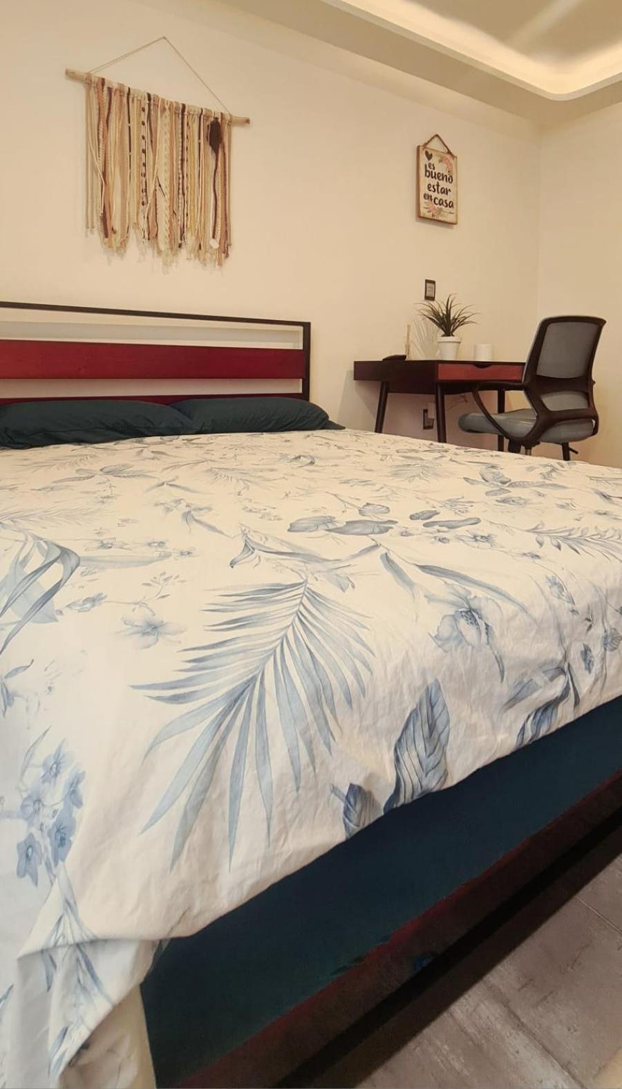 Calida Casa Pet Friendly, Cdmx Apartment Мексико Сити Екстериор снимка